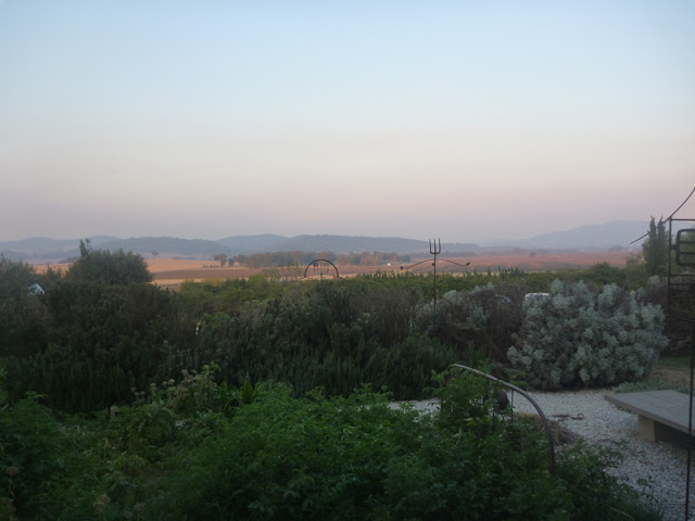 Mudgee