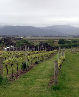 The Marlborough Diaries: Day 2