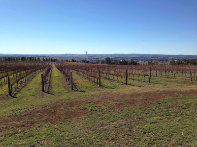 Orange: Time to rethink its hero red wine?