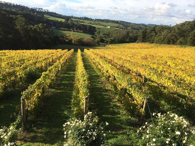 Eldridge new releases including 2014 Gamay