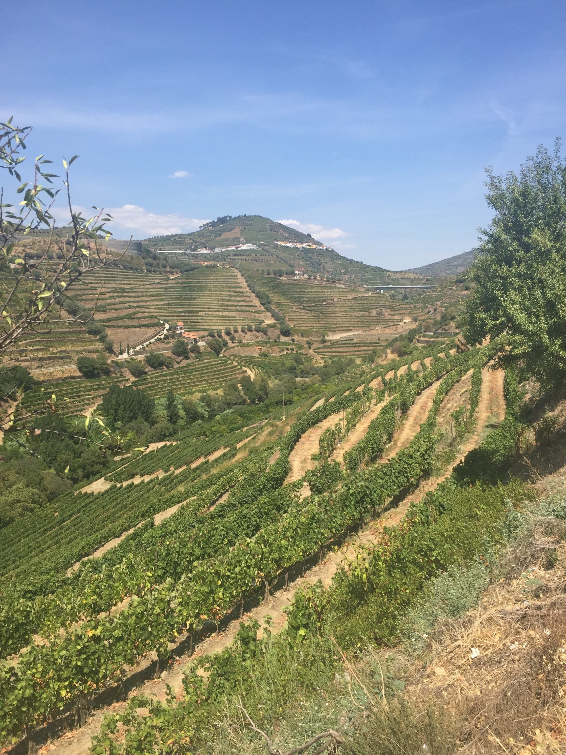Monday flashback: The disappointment of Quinta do Vallado