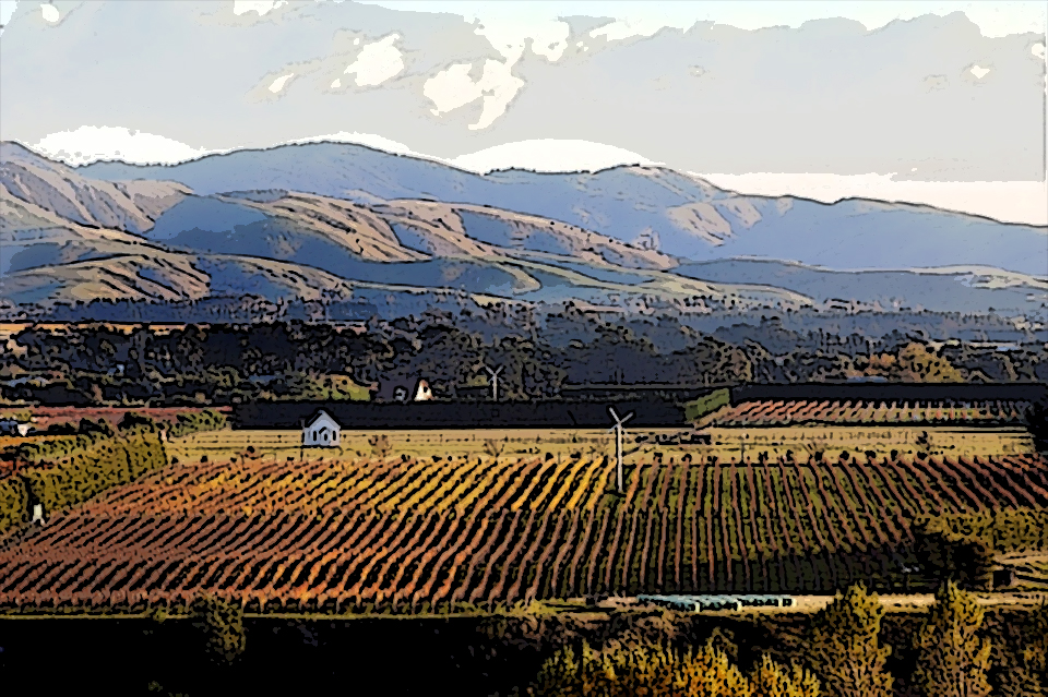 Glorious Kusuda Martinborough Pinot Noir & Syrah 2013