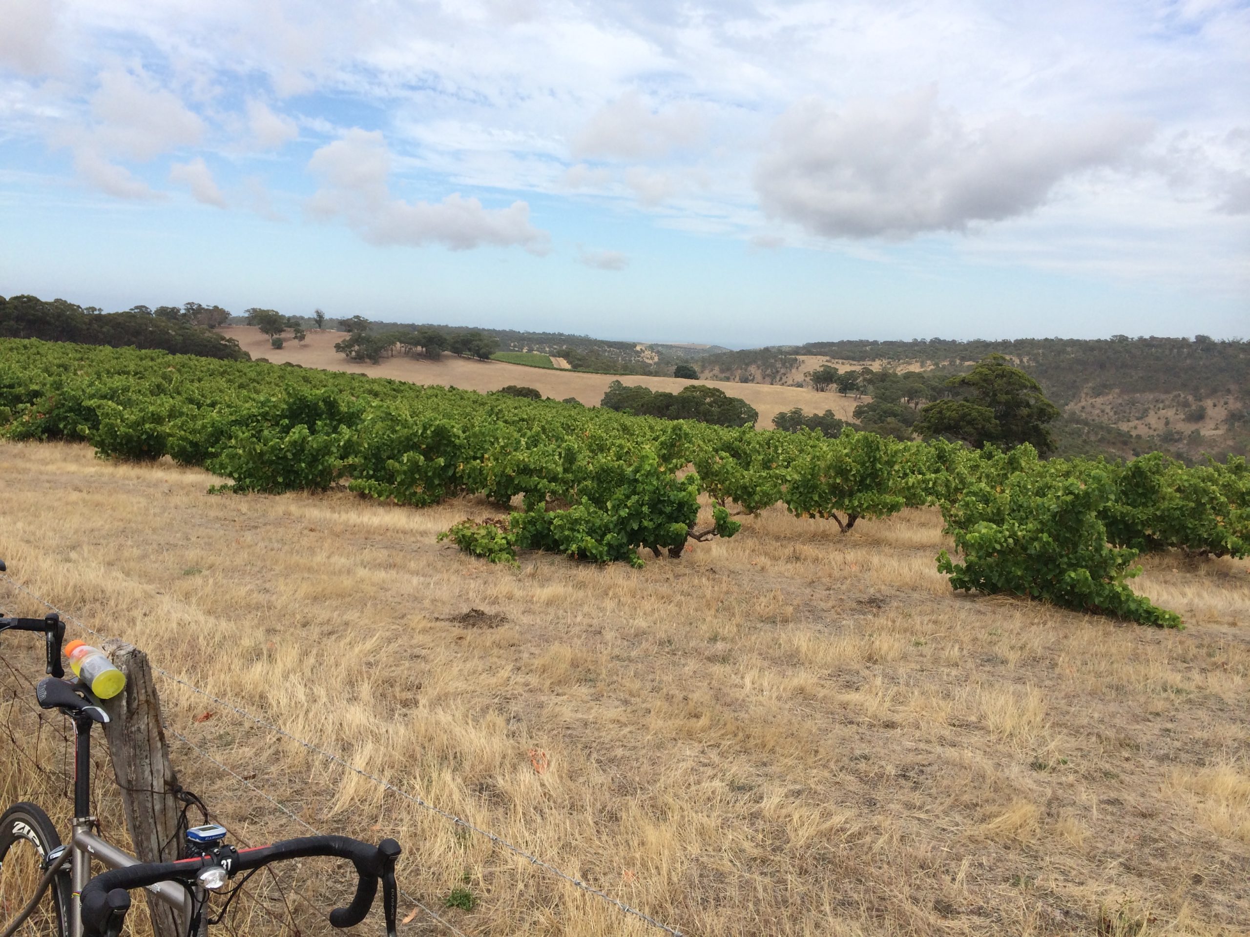 More McLaren Vale Grenache