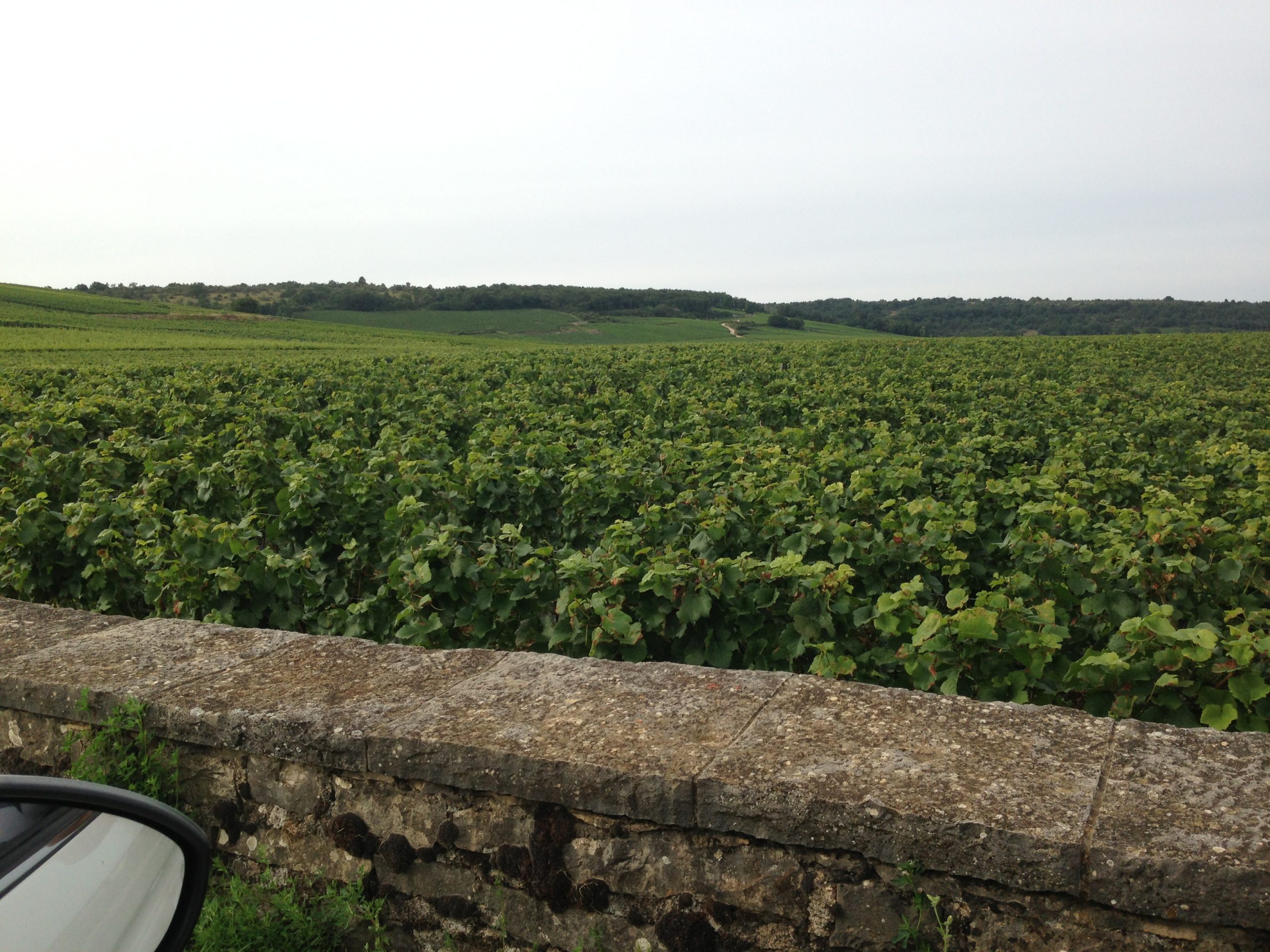 La Romanee Conti
