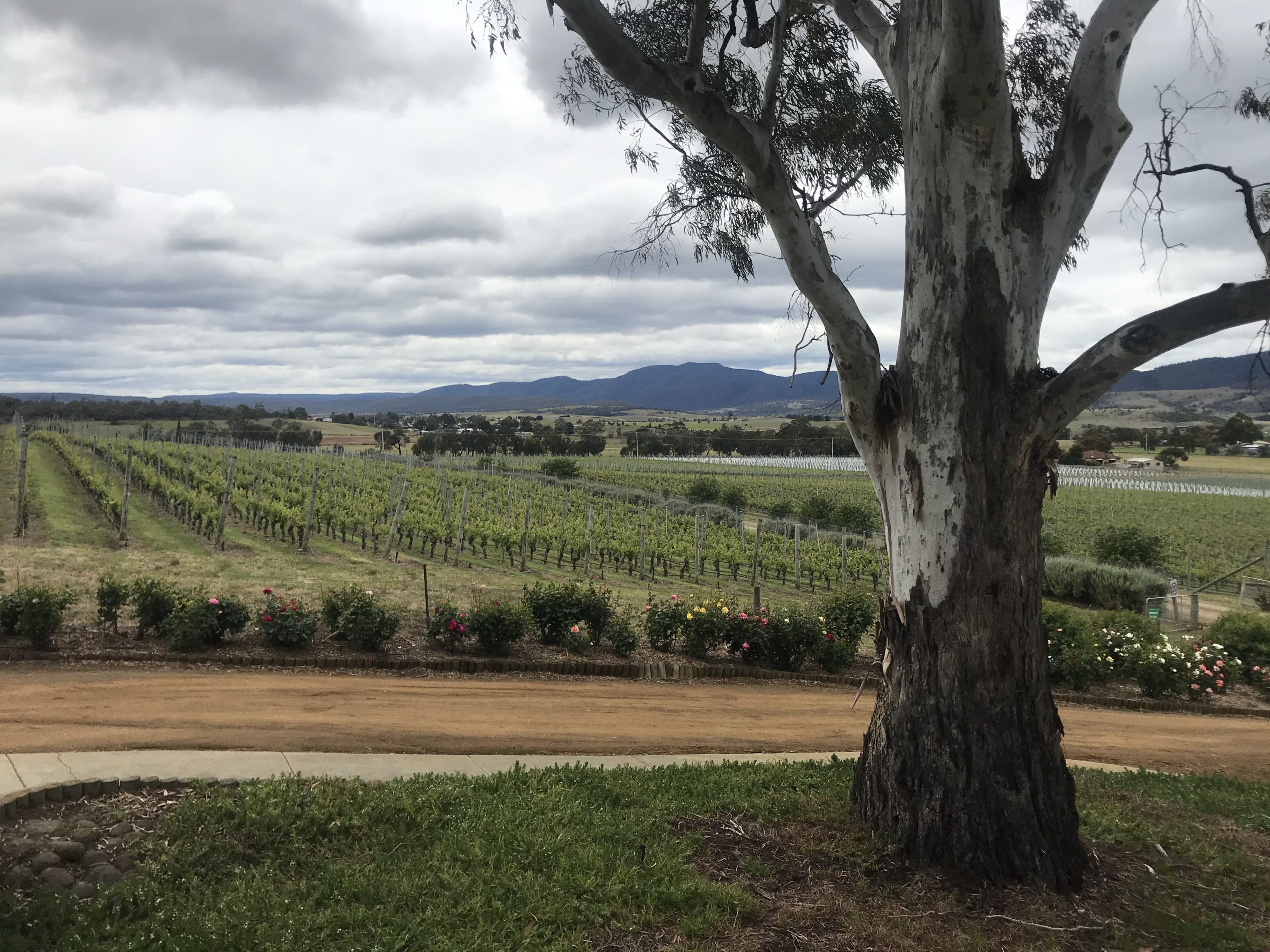 Visiting Domaine A – Tasmania’s most idiosyncratic winery, now with a new face