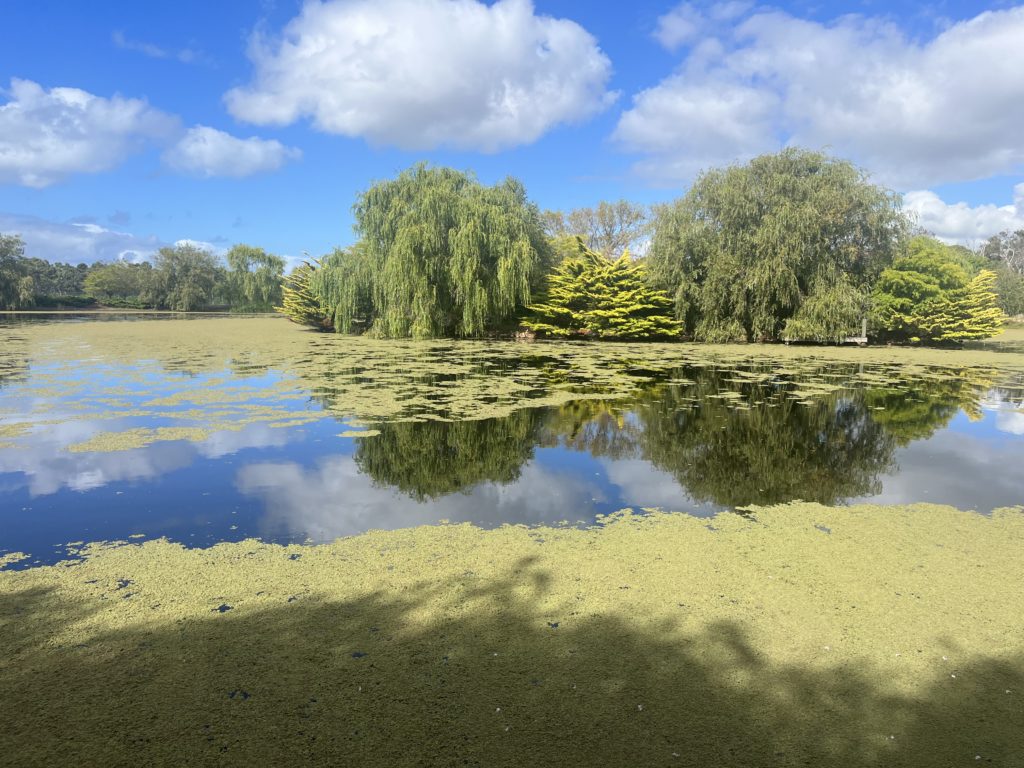 Handpicked Wines Capella Vineyard pond