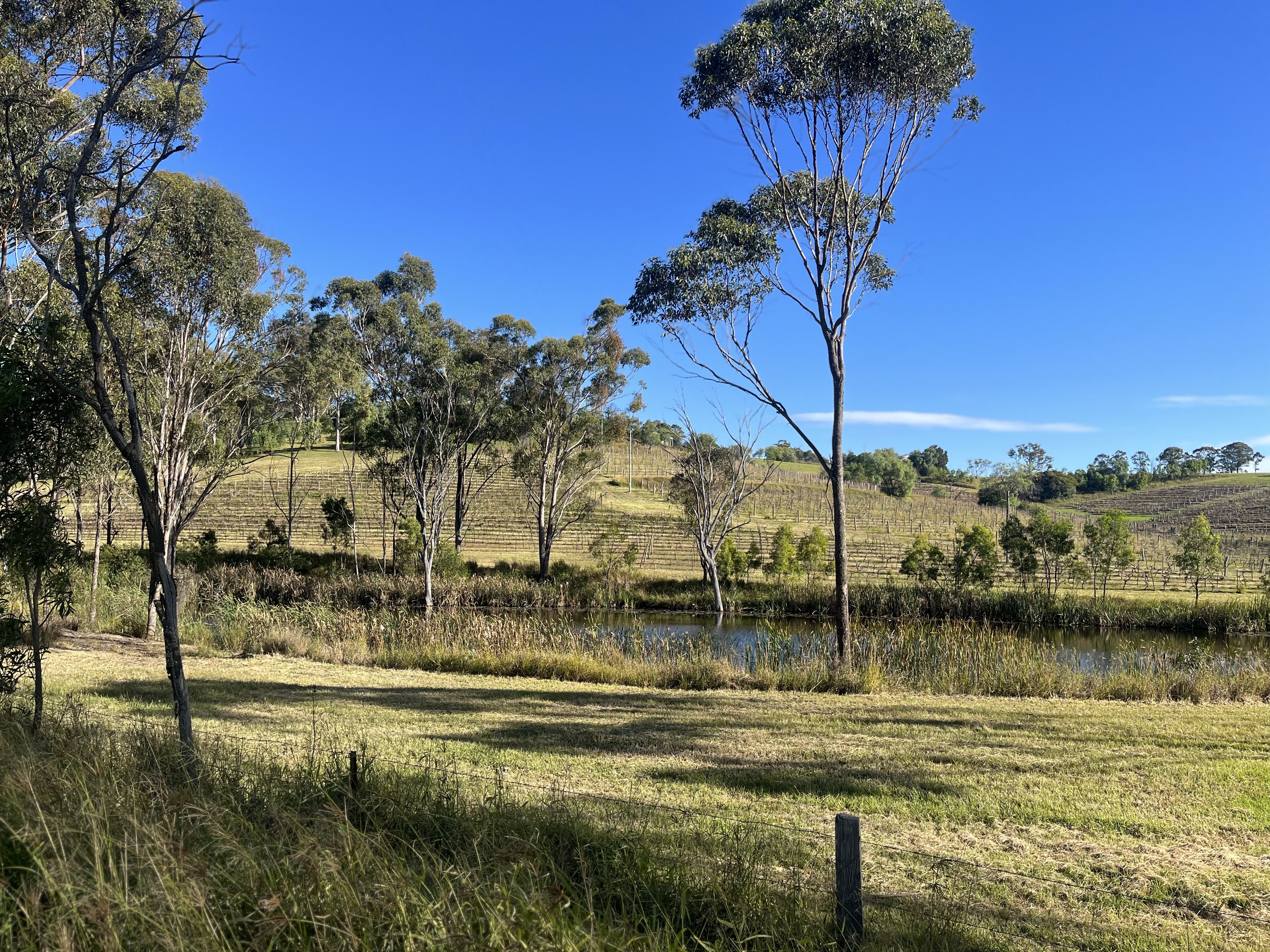 Highlights from 36 hours in the Hunter Valley: the good, bad and #Semsational