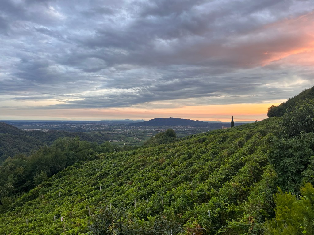 Conegliano Valdobbiadene sunsets