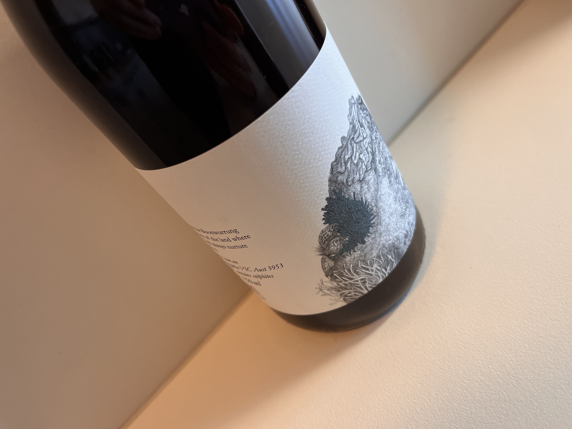 What have you been buying/drinking this December 2023?