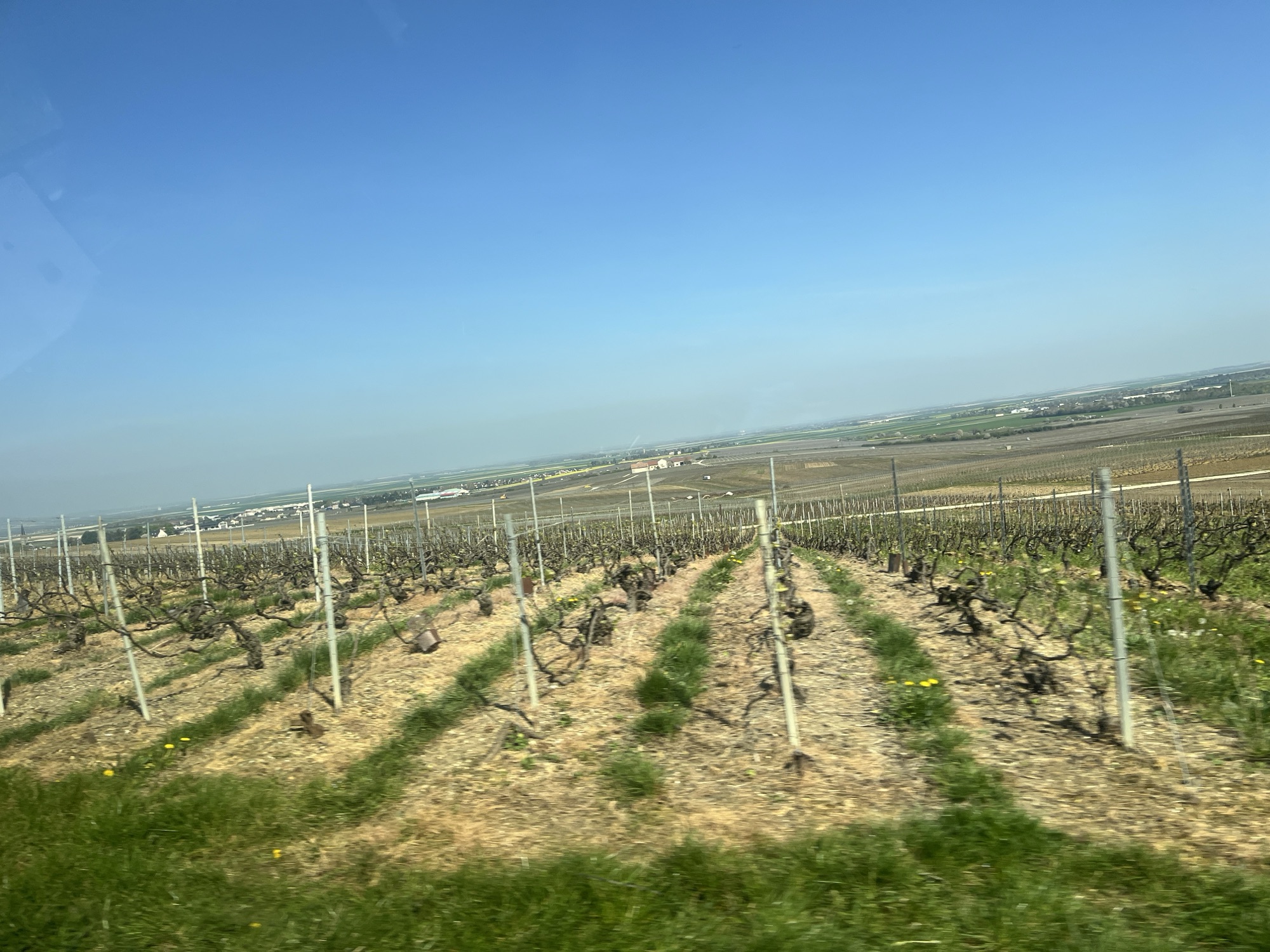A visit to Champagne Larmandier-Bernier