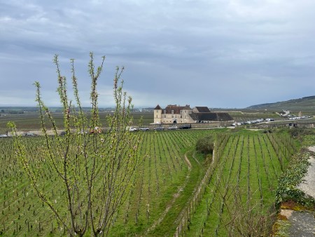 Overwhelmed by great Pinot + Chardonnay at Grand Jours de Bourgogne