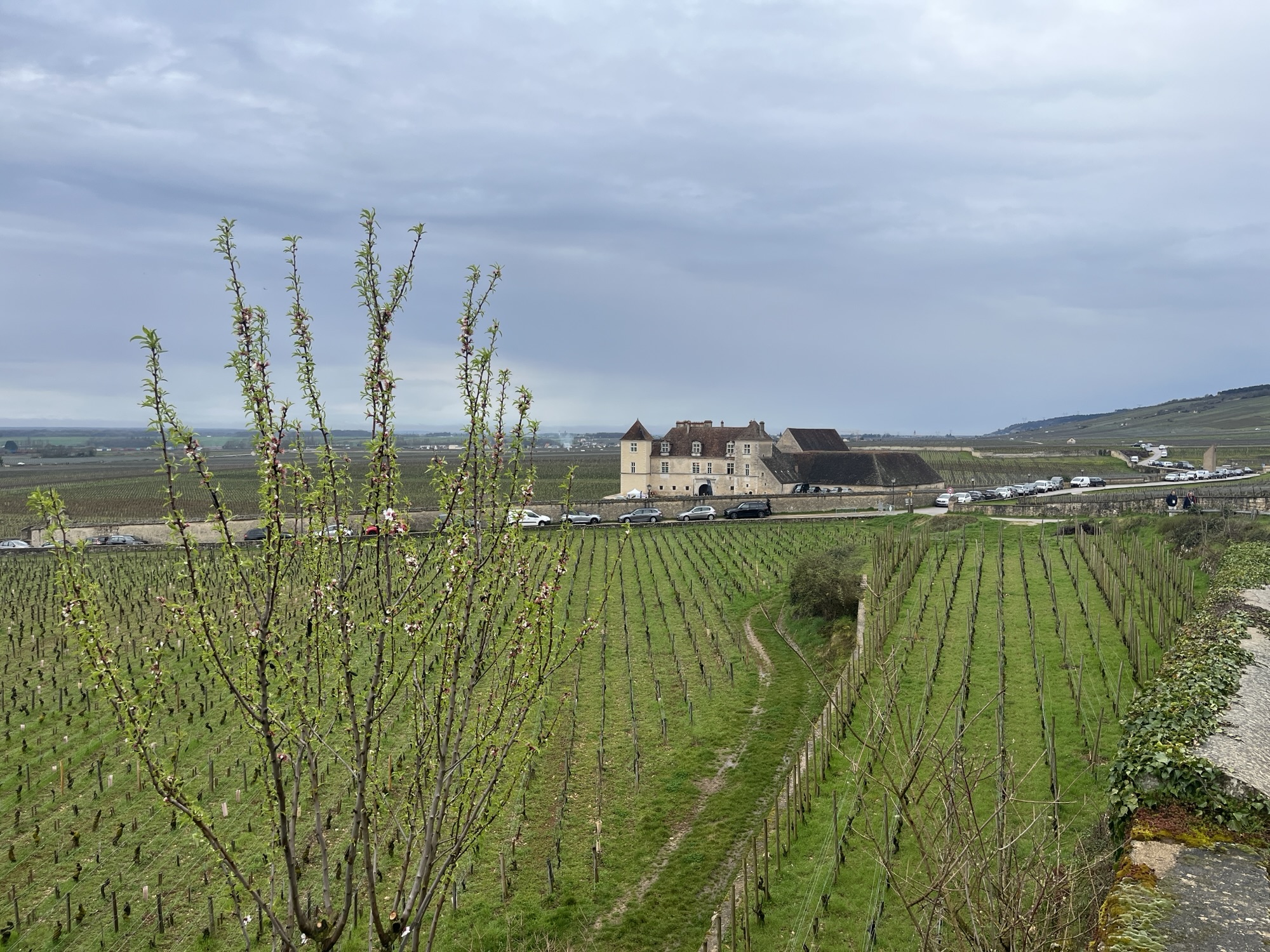 Overwhelmed by great Pinot + Chardonnay at Grand Jours de Bourgogne